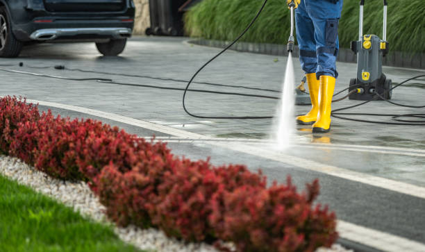 Best Driveway Cleaning and Restoration in Waconia, MN